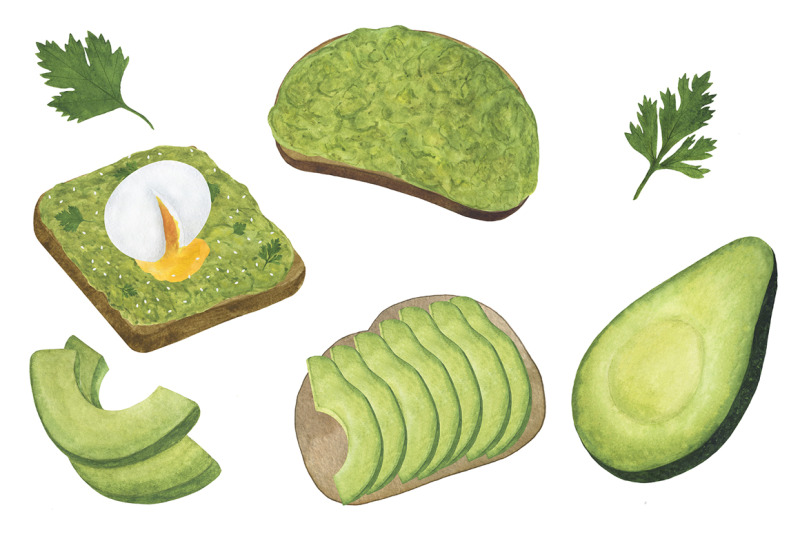 set-avocado-watercolor-food-illustration