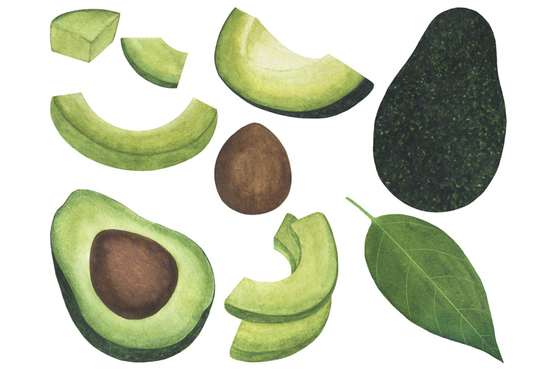 set-avocado-watercolor-food-illustration