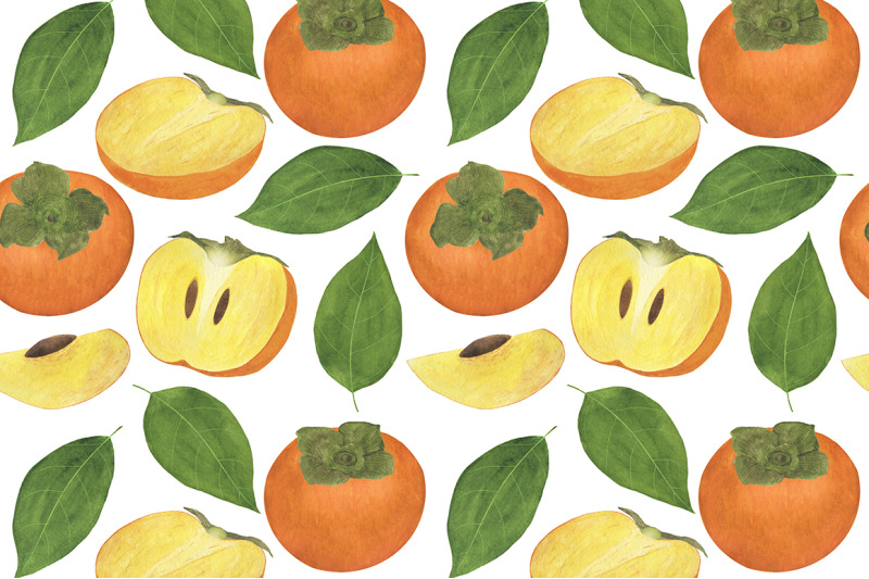 set-of-persimmon-watercolor-illustrations