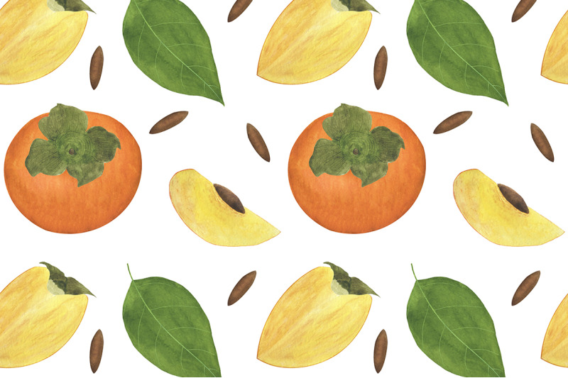 set-of-persimmon-watercolor-illustrations