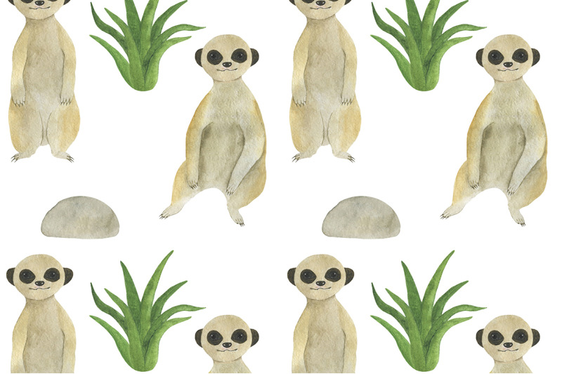 set-meerkats-illustrations-watercolor