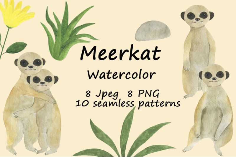 set-meerkats-illustrations-watercolor