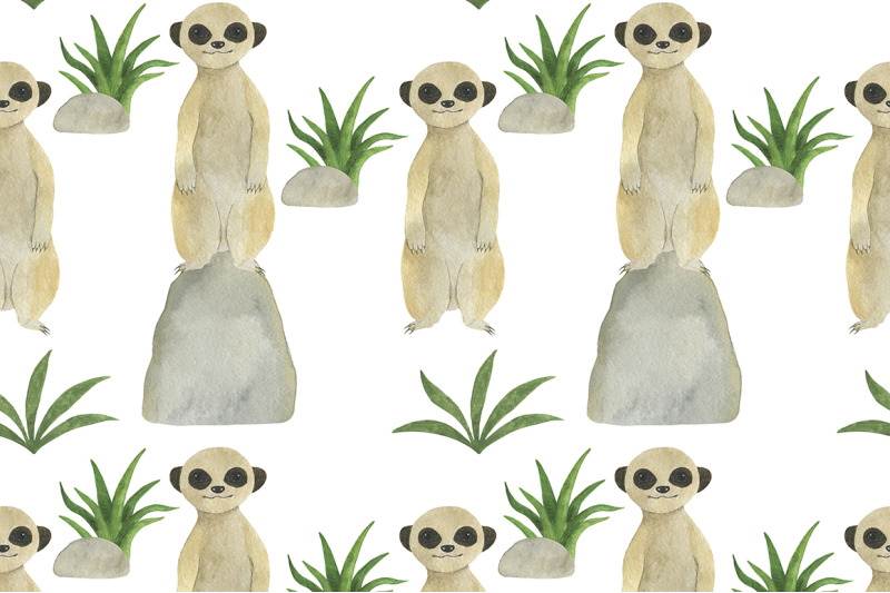 set-meerkats-illustrations-watercolor