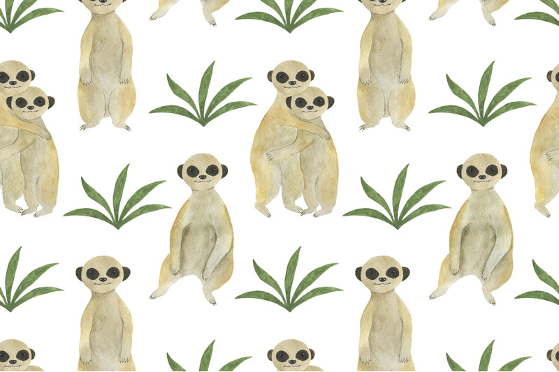 set-meerkats-illustrations-watercolor