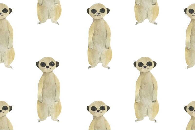 set-meerkats-illustrations-watercolor