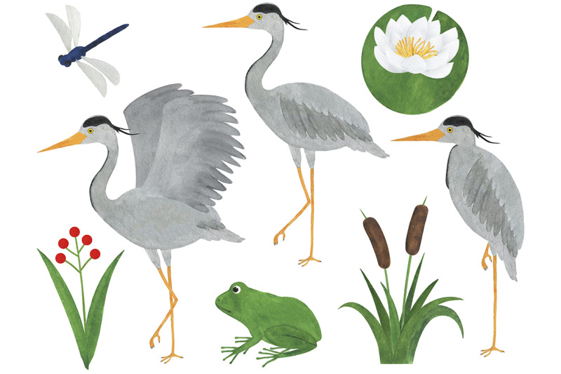 set-of-heron-watercolor-illustrations