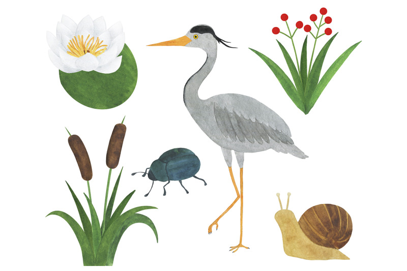 set-of-heron-watercolor-illustrations