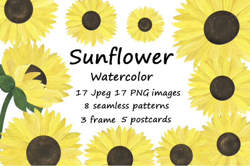 set-of-watercolor-sunflowers-illustrations