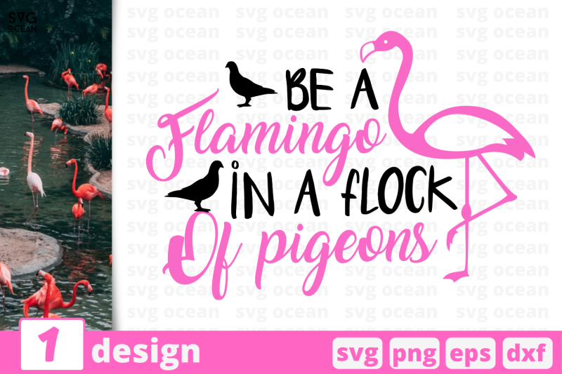 1-be-a-flamingo-in-a-flock-of-pigeons-nbsp-svg-bundle-nbsp-quotes-cricut-svg