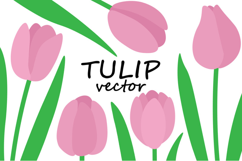 set-of-tulips-vector-illustration