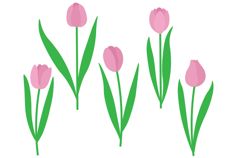 set-of-tulips-vector-illustration