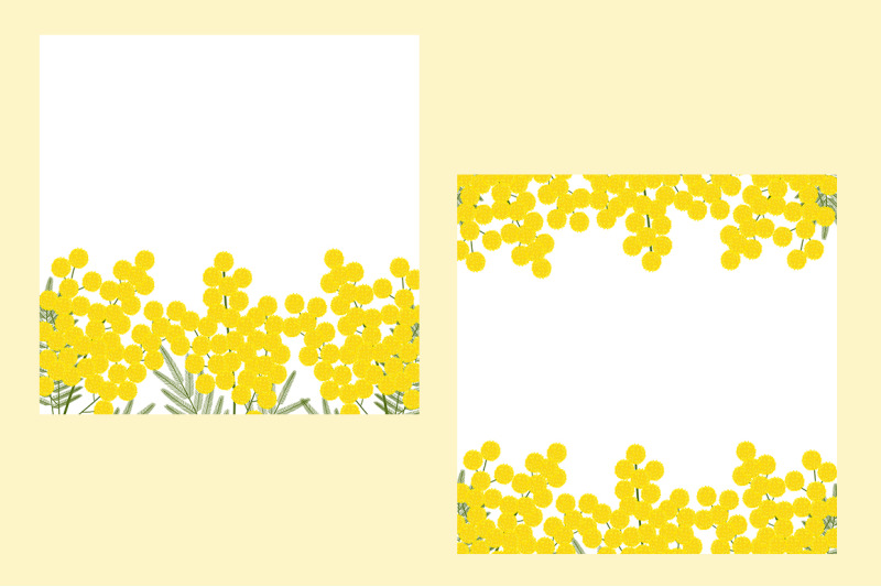 set-of-mimosa-vector-illustrations