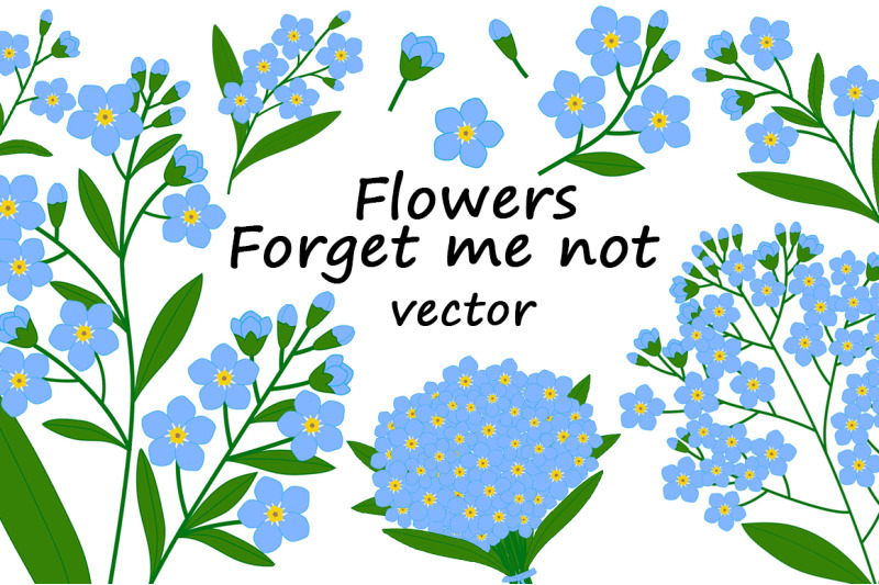 set-of-forget-me-not-flowers-vector-botanical-illustration