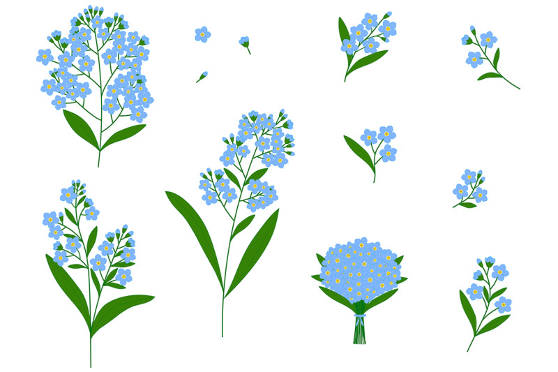 set-of-forget-me-not-flowers-vector-botanical-illustration