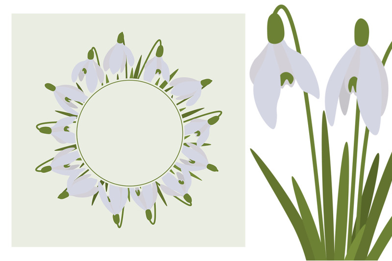 set-of-spring-vector-snowdrops-flowers-illustrations