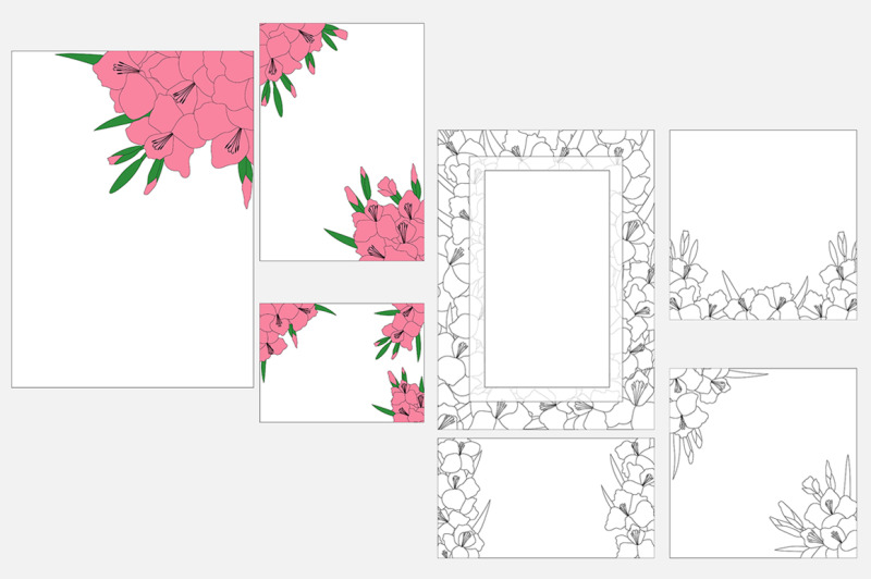 set-gladiolus-flowers-vector