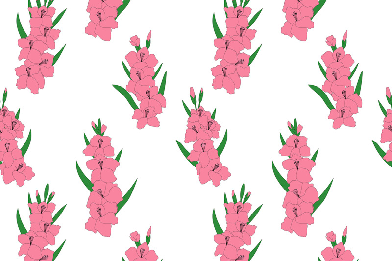 set-gladiolus-flowers-vector