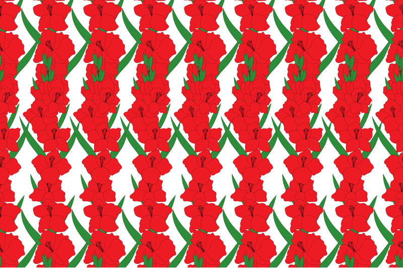 set-gladiolus-flowers-vector