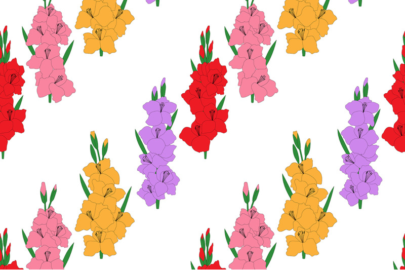 set-gladiolus-flowers-vector