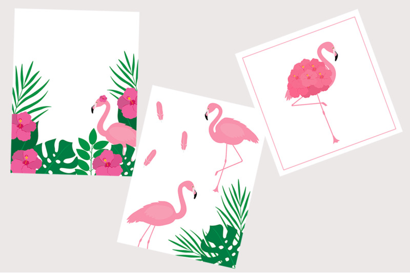set-bird-flamingo-vector