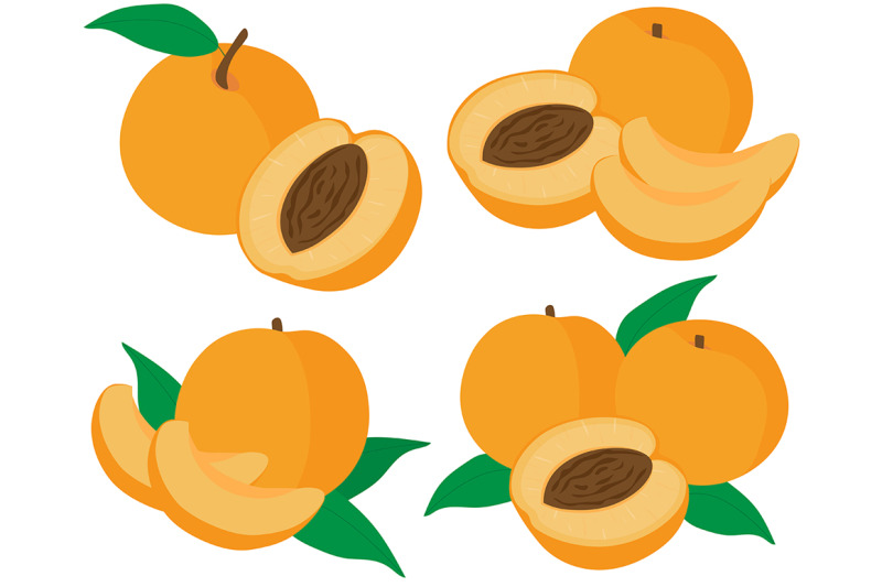 set-fruit-peaches-vector-illustration