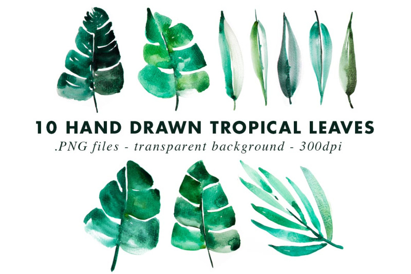 watercolor-tropical-jungle-leaves