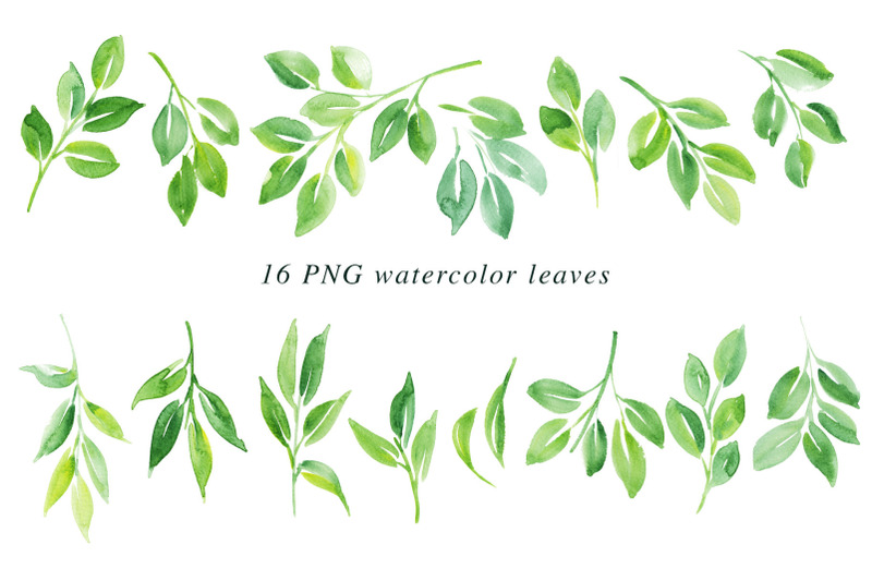 16-watercolor-leaf-png-paintings