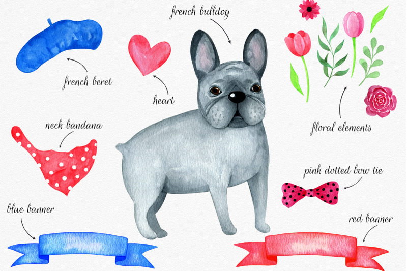 french-bulldog-watercolor-set-clipart-dog-and-fashion-set