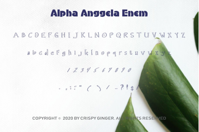 alpha-anggela-18-font-styles-and-150-swashes