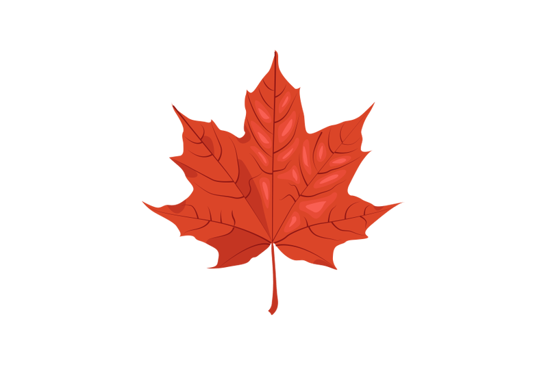 maple-leaf