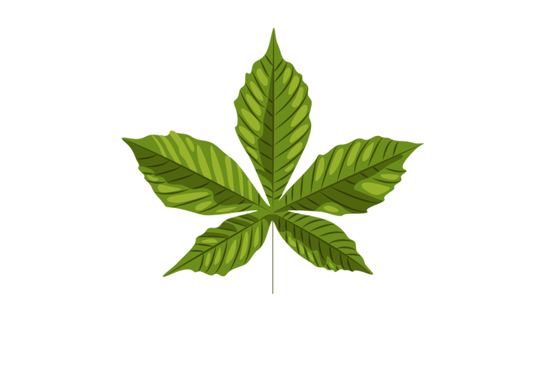 chesnut-leaf