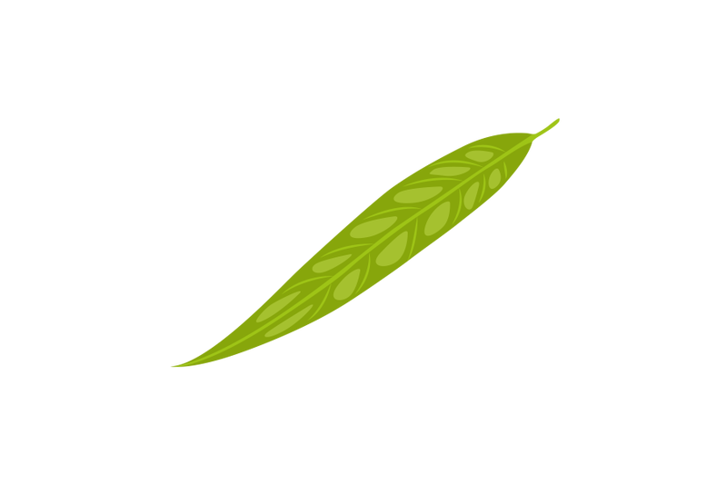 willow-leaf