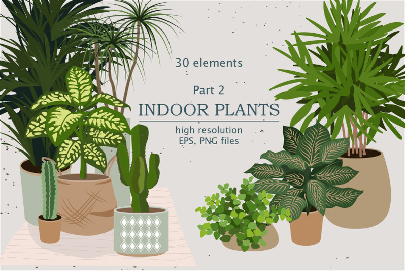 indoor-plants-house-plants