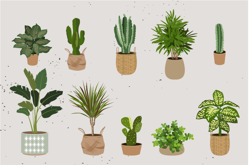 indoor-plants-house-plants