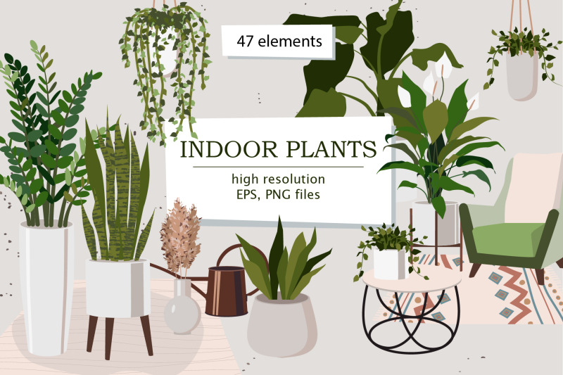 indoor-plants-part-1