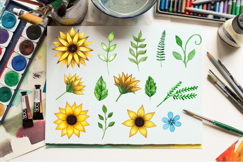 watercolor-sunflower-elements-hand-painted