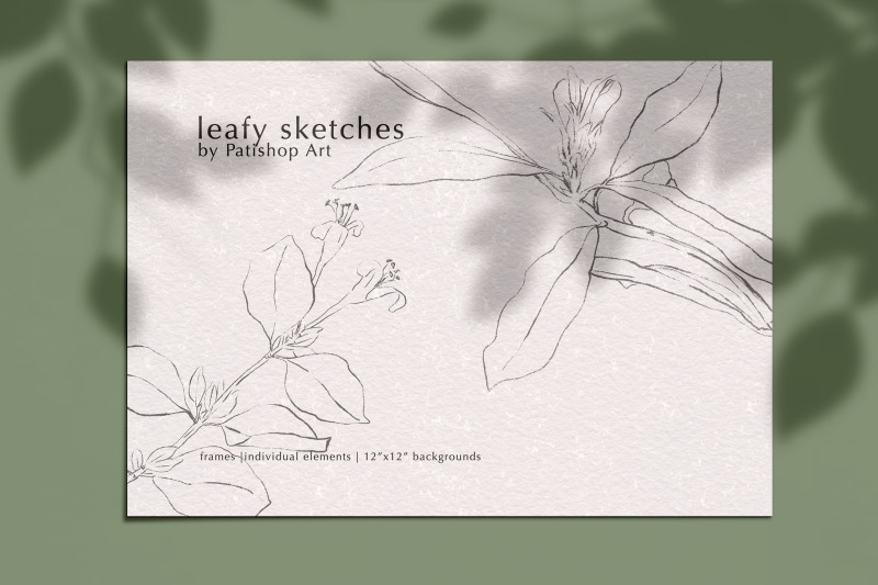 leafy-sketches-in-pencil-hand-drawn-illustrations