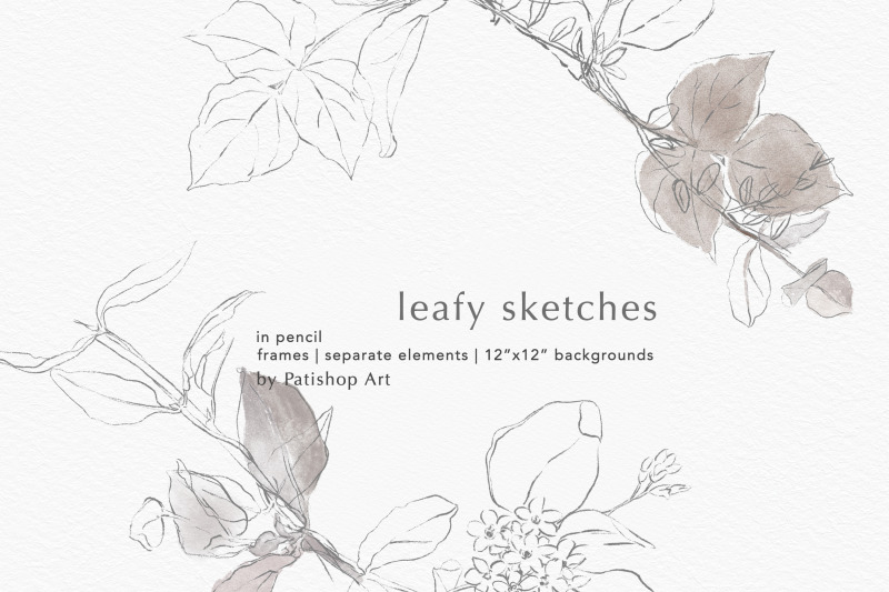 leafy-sketches-in-pencil-hand-drawn-illustrations