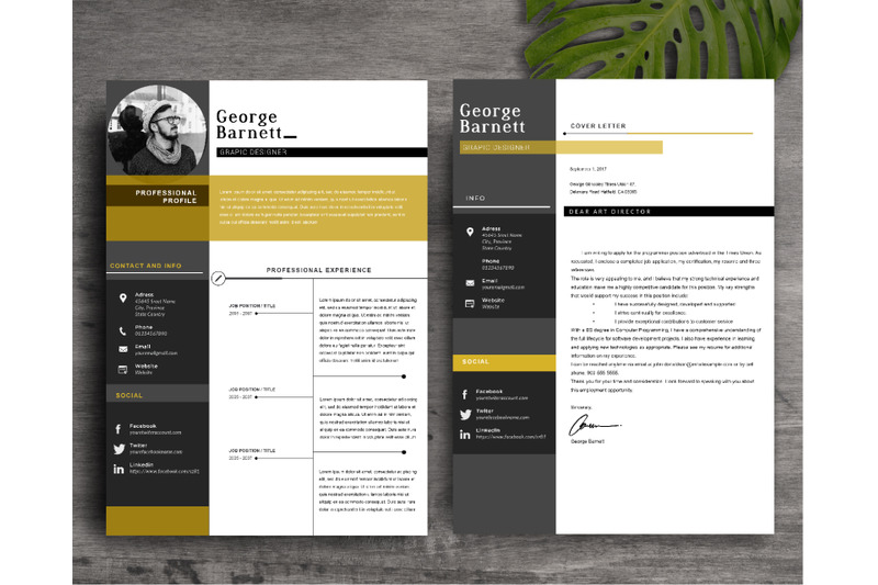 resume-template-2-page-cv-template