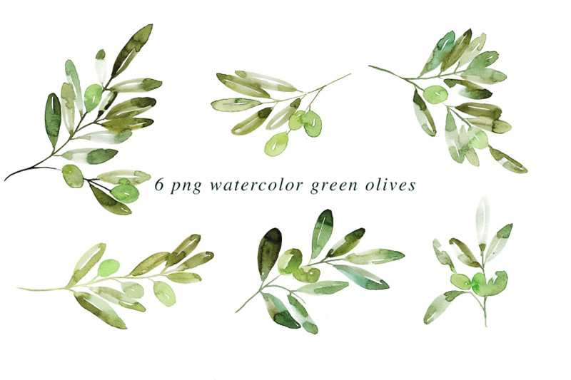 12-watercolor-olive-branches