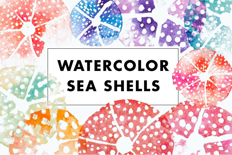 watercolor-sea-urchin-shells