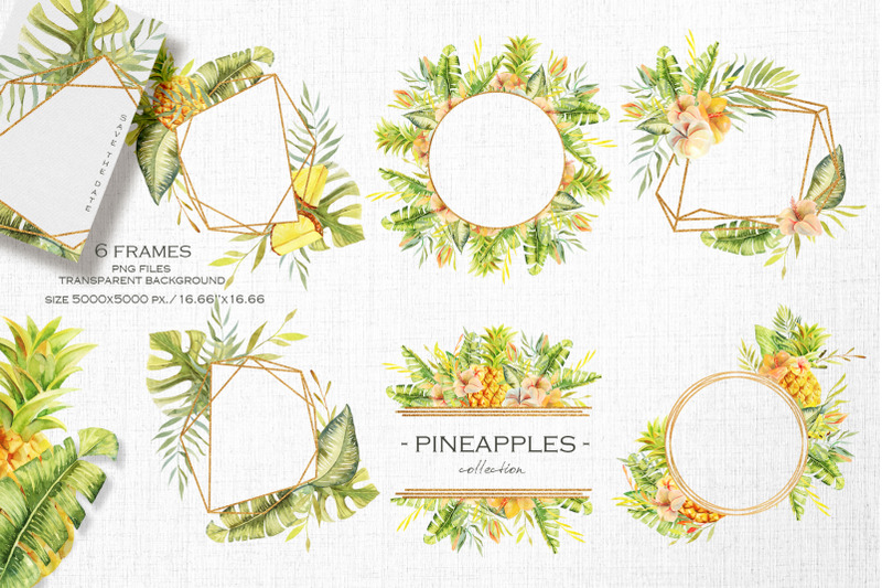 pineapples-watercolor-collection