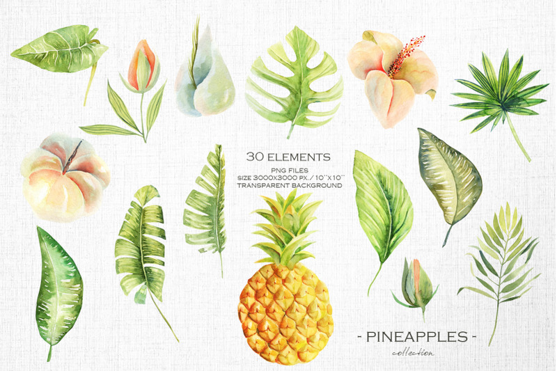 pineapples-watercolor-collection