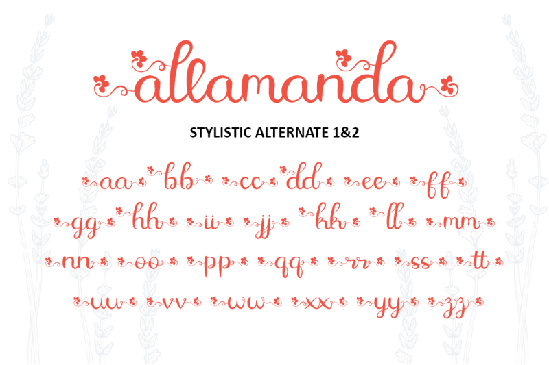 allamanda-modern-calligraphy