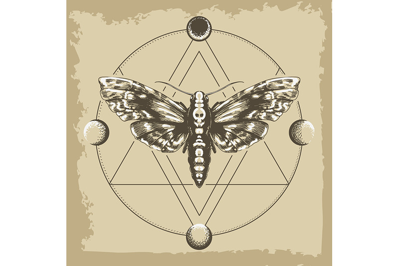deaths-head-hawk-moth-in-esoteric-astrological-circle-retro-illustrati