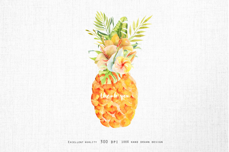 pineapples-frame-1