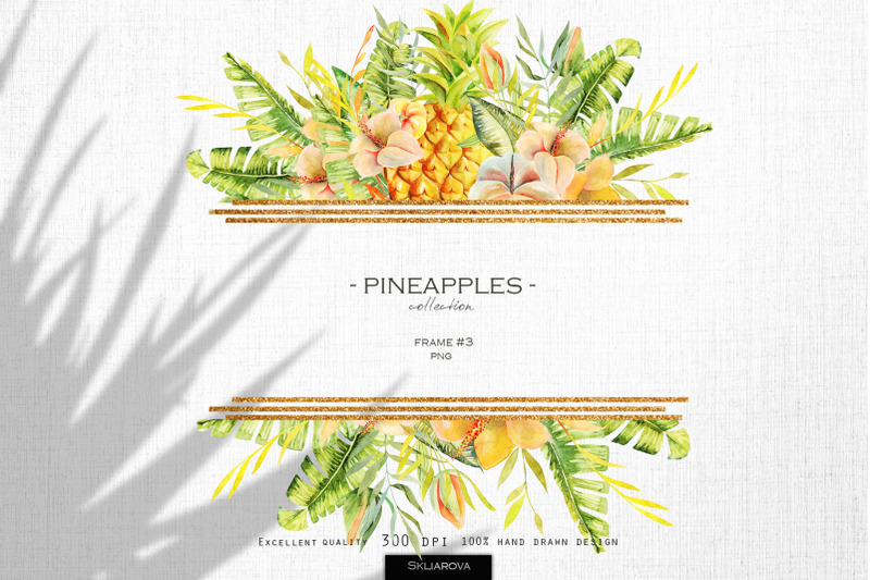 pineapples-frame-3