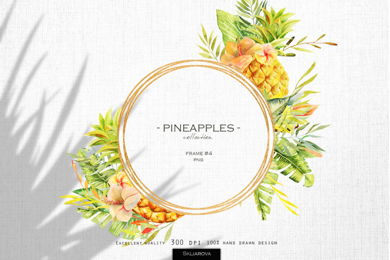 pineapples-frame-4