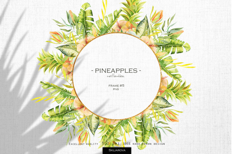 pineapples-frame-5