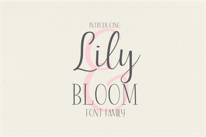 lily-amp-bloom